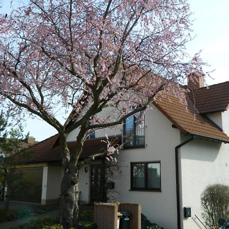Ferienwohnung Kiko Zornheim Exteriör bild