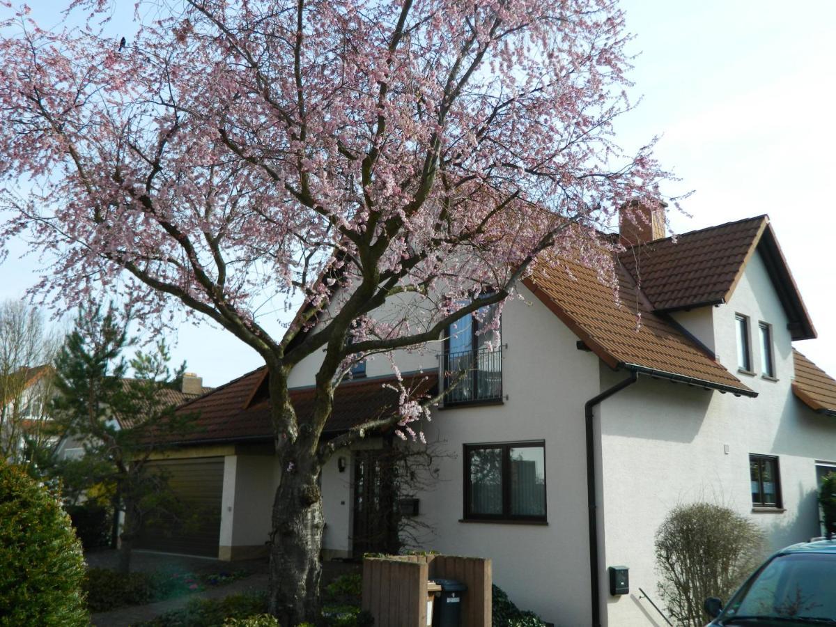 Ferienwohnung Kiko Zornheim Exteriör bild